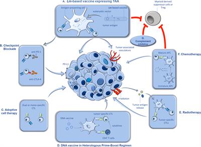 Clinical Experience and Recent Advances in the Development of Listeria-Based Tumor Immunotherapies